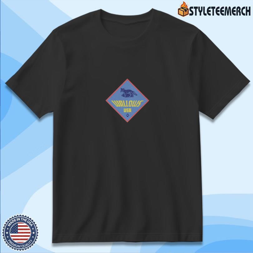 Wallows Scouts Tour Style T Shirt 10 Wallows Scouts Tour Style T Shirt